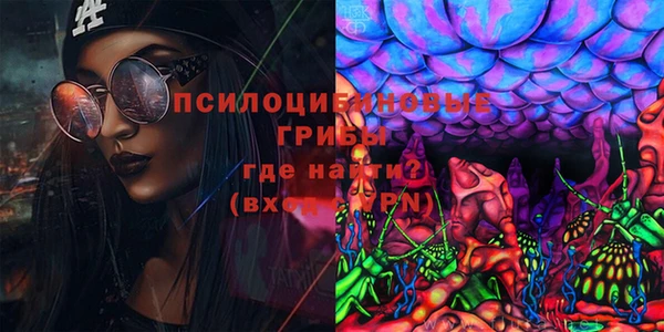ПСИЛОЦИБИНОВЫЕ ГРИБЫ Богданович