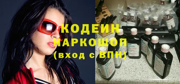 ПСИЛОЦИБИНОВЫЕ ГРИБЫ Богданович