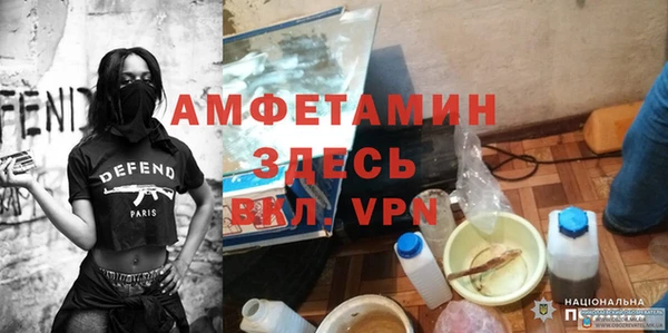ПСИЛОЦИБИНОВЫЕ ГРИБЫ Богданович