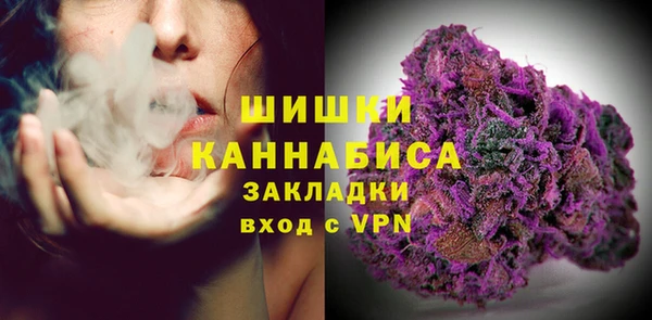 ПСИЛОЦИБИНОВЫЕ ГРИБЫ Богданович
