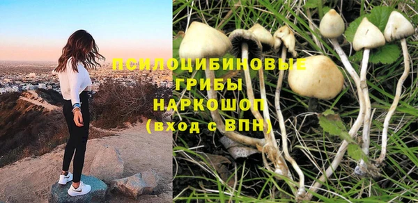 кристаллы Богородицк