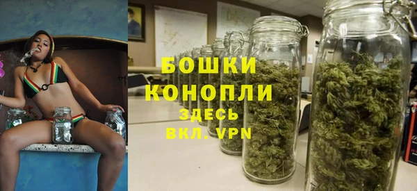 эйфоретик Богородск