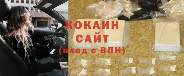 ПСИЛОЦИБИНОВЫЕ ГРИБЫ Богданович
