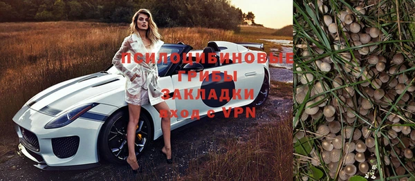 ПСИЛОЦИБИНОВЫЕ ГРИБЫ Богданович